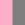 Gris / Rose