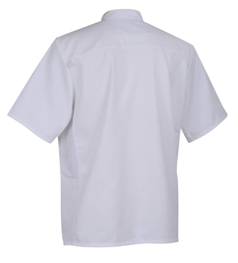 Veste de cuisine mixte bicolore manches courtes Robur ENERGY MC/ML