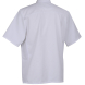 Veste de cuisine mixte bicolore manches courtes Robur ENERGY MC/ML